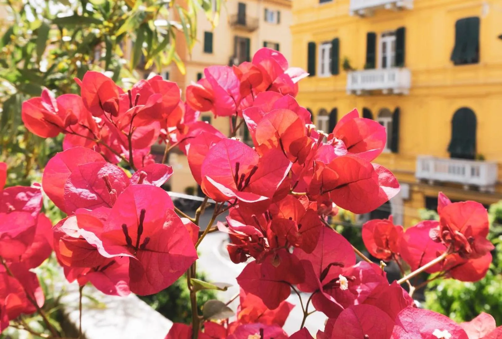 I Sapori Del Levante La Spezia